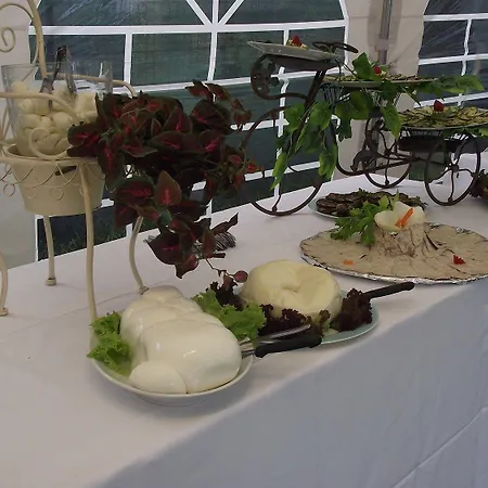 Hotel Ausonia Monte Porzio